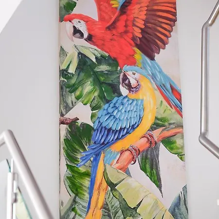 Amazing Views Casa Hummingbird 公寓 *